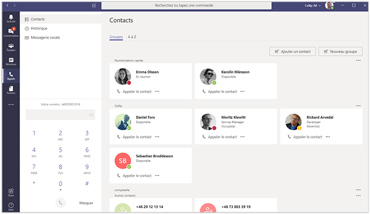 Capture d'écran de l'onglet appels de Microsoft Teams