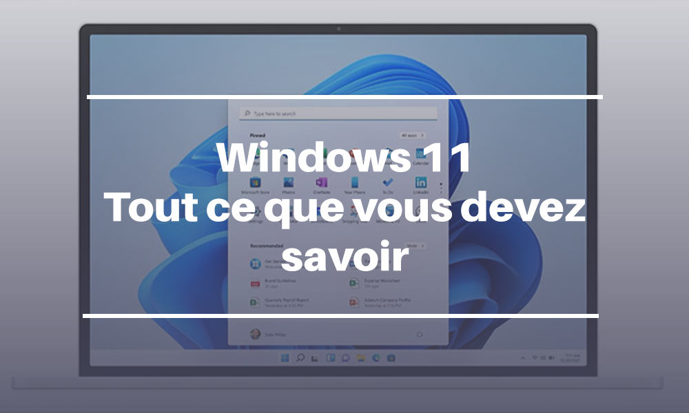 Windows 11